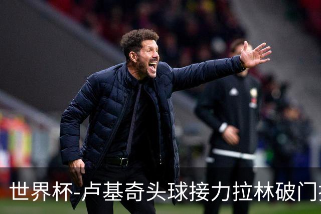 世界杯-卢基奇头球接力拉林破门扳平 加拿大1-1波黑